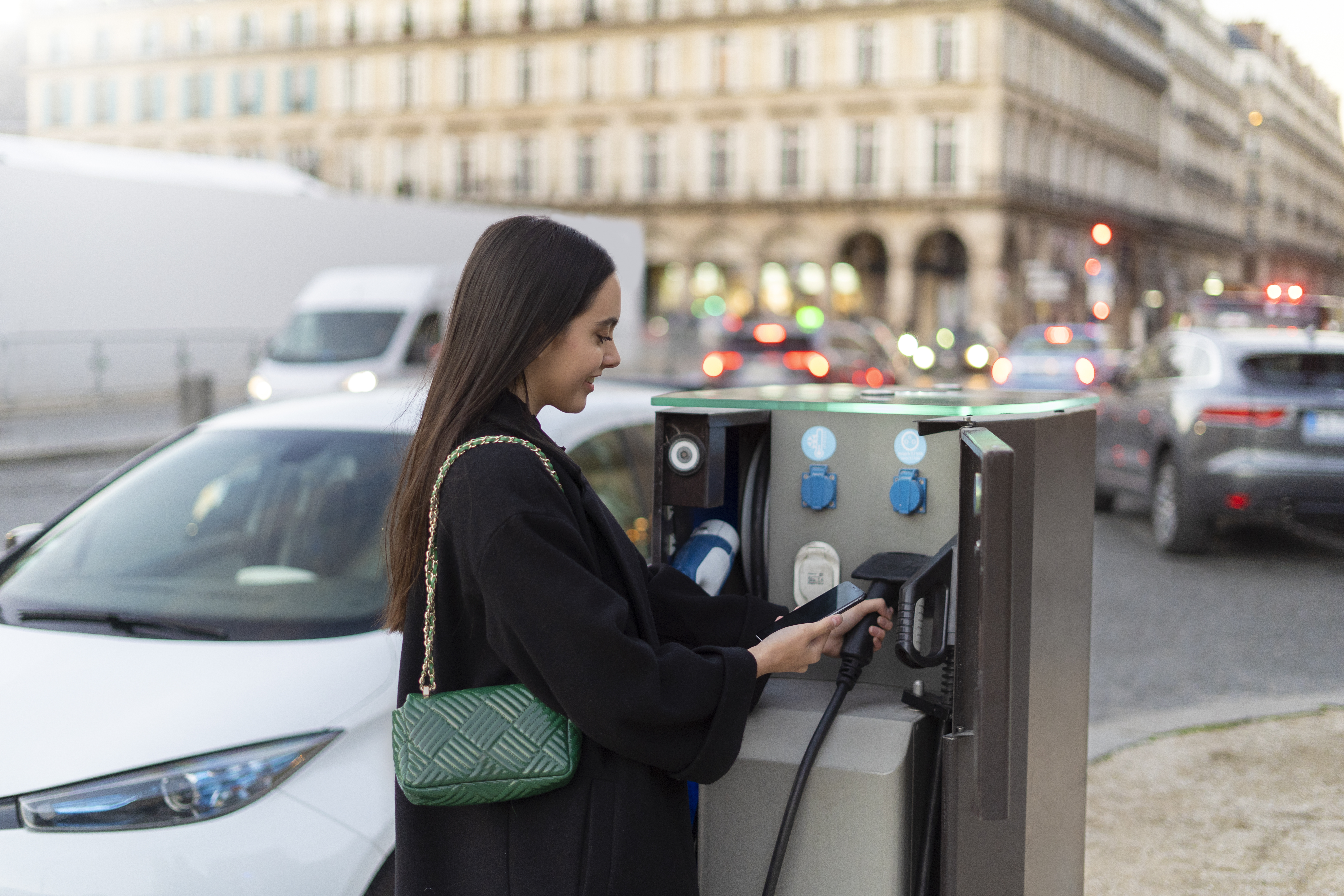 gros-plan-sur-la-voiture-electrique-en-france (1)